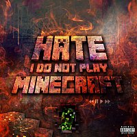 Přední strana obalu CD I Do Not Play Minecraft
