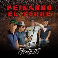 Nuevo Trayecto – Peinando El Terre