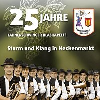Přední strana obalu CD 25 Jahre Fahnenschwinger Blaskapelle - Sturm und Klang in Neckenmarkt