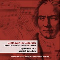 Cappella Istropolitana, Bernhard Sieberer – Beethoven im Gesprach ... zerlegt, besprochen, wieder zusammengesetzt, musiziert