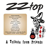 Přední strana obalu CD ZZ Top – A Tribute From Friends