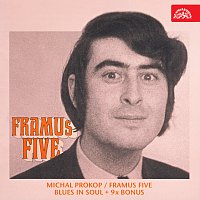 Michal Prokop, Framus Five – Blues In Soul MP3