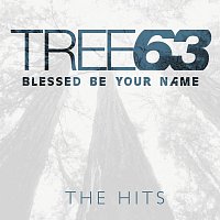 Přední strana obalu CD Blessed Be Your Name - The Hits
