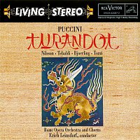 Přední strana obalu CD Puccini: Turandot