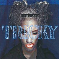 Tricky – A Ruff Guide To