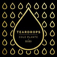 Cole Plante, BOBI – Teardrops