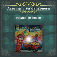 Acerina Y Su Danzonera – México de Noche