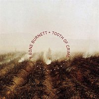 T-Bone Burnett – Tooth of Crime