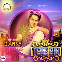 D Arry – Tere Bin