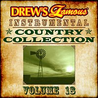 Přední strana obalu CD Drew's Famous Instrumental Country Collection [Vol. 18]
