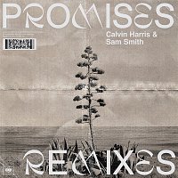 Calvin Harris, Sam Smith – Promises (Remixes)