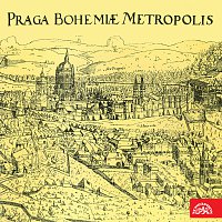 Různí interpreti – Au revoir, Prague MP3