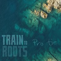 Train To Roots – Pro Tie