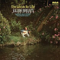 Julian Bream – The Woods So Wild