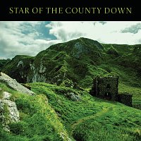 Star Of The County Down (The Canticle Of The Turning)