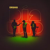 DRIMS – Día Uno