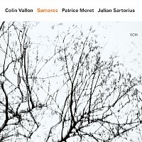 Colin Vallon, Patrice Moret, Julian Sartorius – Mars