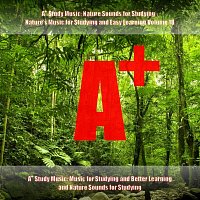 A+ Study Music: Nature Sounds for Studying - Nature's Music for Studying and Easy Learning, Vol. 18