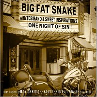 Big Fat Snake – One Night Of Sin