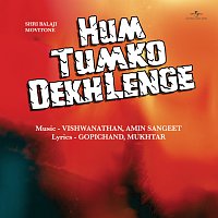 Různí interpreti – Hum Tumko Dekh Lenge [Original Motion Picture Soundtrack]