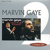 Marvin Gaye – I Heard It Through The Grapevine / What's Going On