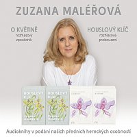 Různí interpreti – Maléřová: O květině & Houslový klíč CD-MP3