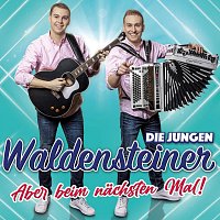 Die jungen Waldensteiner – Aber beim nächsten Mal