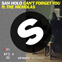 San Holo – Can't Forget You (feat. The Nicholas)