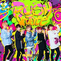 Rush300 – Rushmate