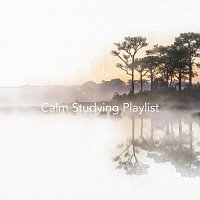 Chris Snelling, Nils Hahn, Jonathan Sarlat, Bella Element, Chris Mercer, Joefish – Calm Studying Playlist 