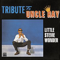 Stevie Wonder – Tribute To Uncle Ray