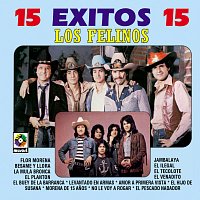 Los Felinos – 15 Éxitos