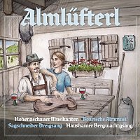Hohenaschauer Musikanten, Boarische Almmusi, Sagschneider Dreigsang – Almlüfterl