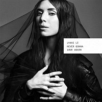 Lykke Li – Never Gonna Love Again