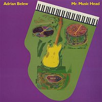 Adrian Belew – Mr. Music Head