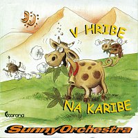 Sunny Orchestra – V hribe na Karibe