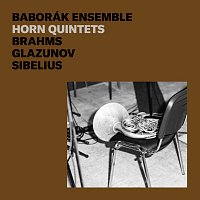 Přední strana obalu CD Brahms, Glazunov, Sibelius: Horn Quintets