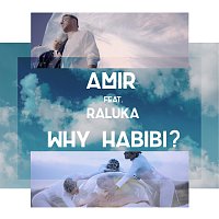Amir, Raluka – Why Habibi?