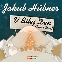 Jakub Hübner – V bílej den / Xmas Day FLAC