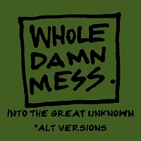 Whole Damn Mess – Into The Great Unknown [Acoustic]