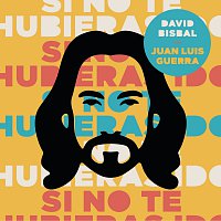 David Bisbal, Juan Luis Guerra – Si No Te Hubieras Ido