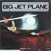 Alok & Mathieu Koss – Big Jet Plane (Pharmacist Remix) [Extended Mix]