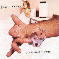 Sonic Youth – A Thousand Leaves