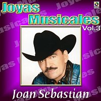 Joyas Musicales: Lo Norteno De Joan Sebastian, Vol. 3
