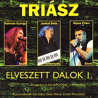 Elveszett dalok