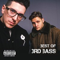 Přední strana obalu CD Best Of 3rd Bass