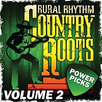 Různí interpreti – Country Roots Power Picks [Vol. 2]