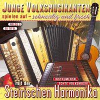 Junge Volksmusikanten spielen auf