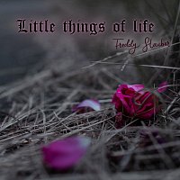 Freddy Stauber – Little Things of Life