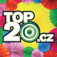 Přední strana obalu CD Top20.cz 2019/1